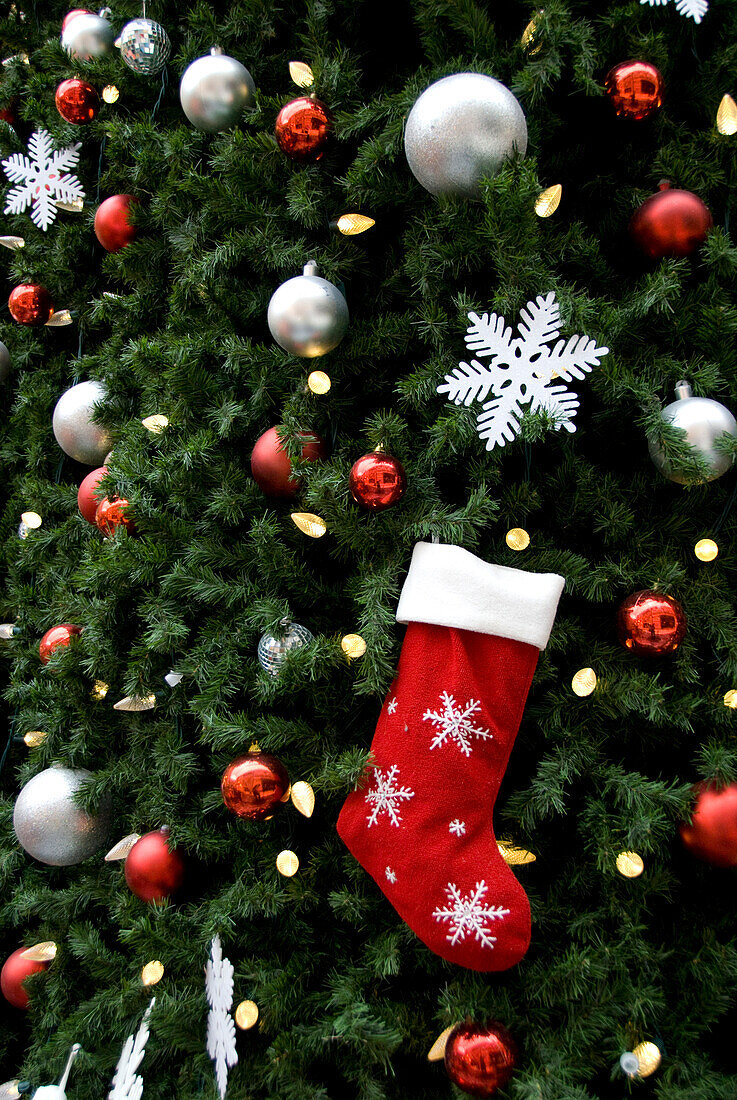 North America. Christmas decorations on tree.