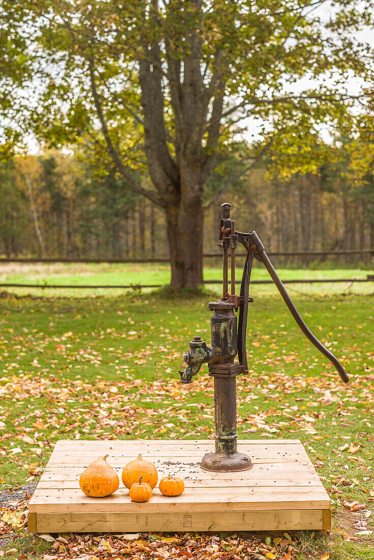 Canada, Prince Edward Island, Orwell. Hand operated water pump.