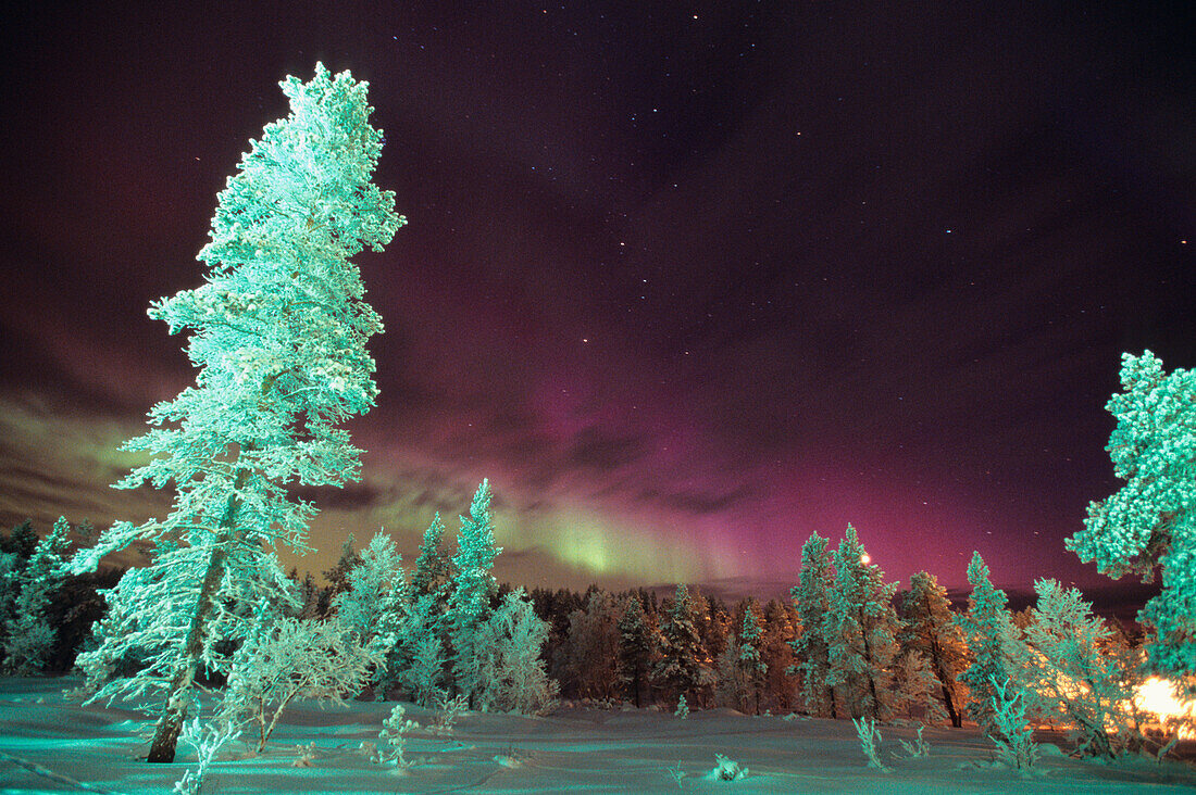 Skandinavien, Finnland, Lappland, Kakslauttanen, die Aurora Borealis