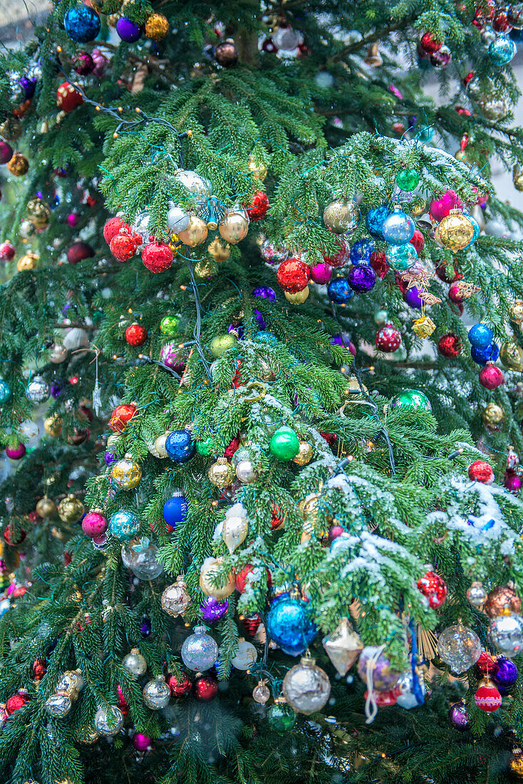 Snow on outdoor decorated Christmas tree, Bamberg, Germany ()