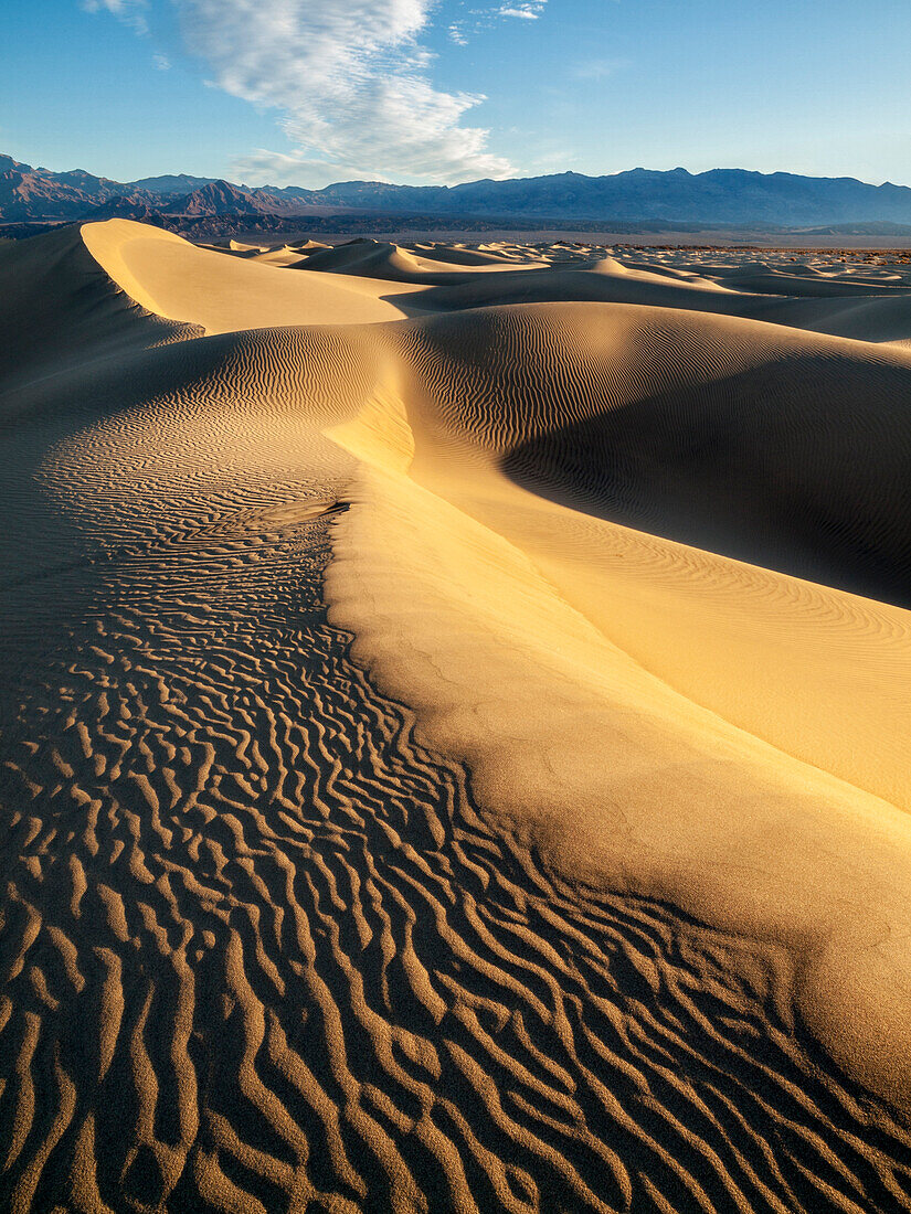 USA, California, Death Valley National Park. Early morning sun hits Mesquite Flat Dunes