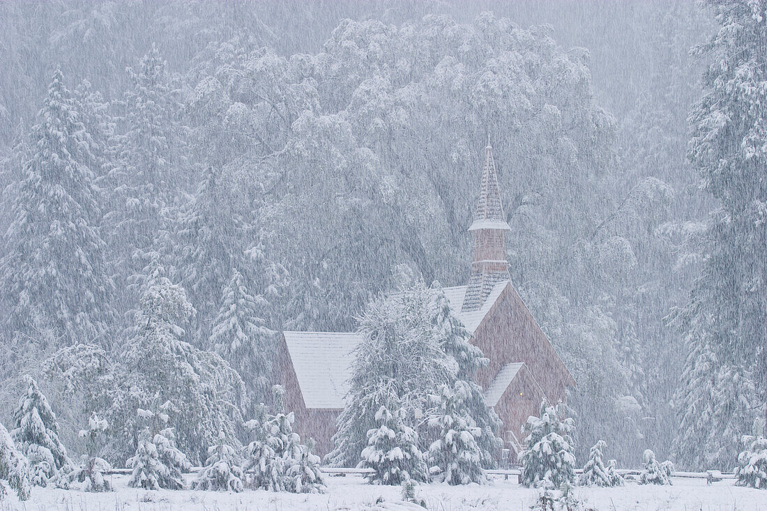 USA, California, Yosemite National Park. Yosemite Chapel in Snowstorm.