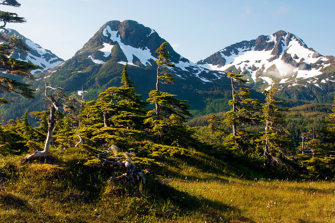 Mount Eccles in der Nähe von Cordova, Alaska