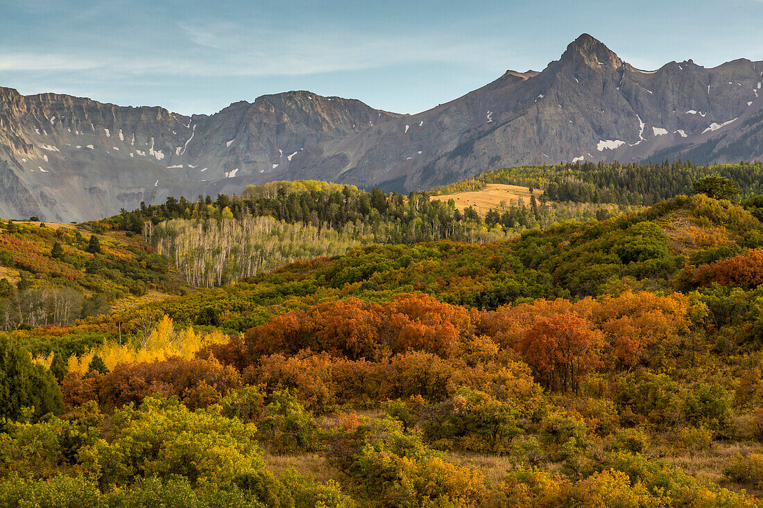 USA, Colorado, Gunnison National Forest. Espenwald im Herbst