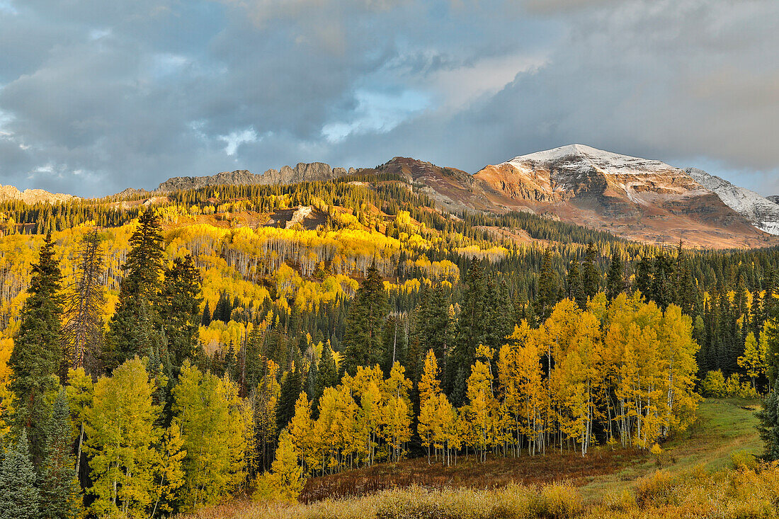 Herbstfarben in der Nähe von Kebler Pass, Crested Butte