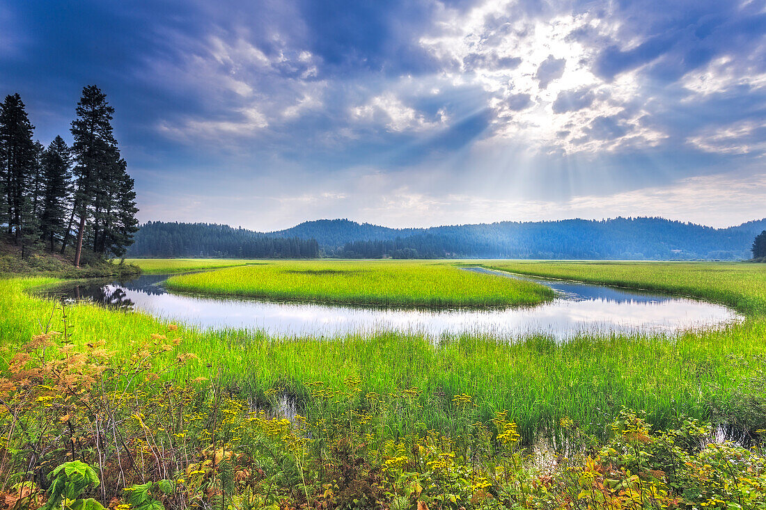USA, Idaho. St Maries River landscape
