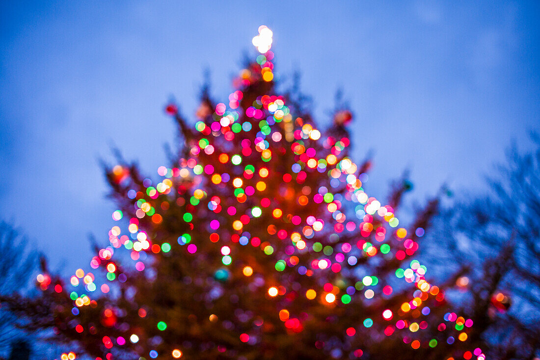 USA, Massachusetts, Cape Ann, Rockport. Defokussierter Weihnachtsbaum