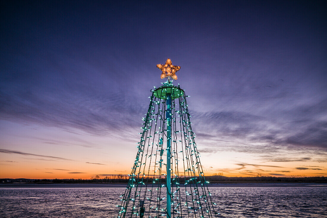 USA, Massachusetts, Cape Ann, Annisquam. Waterfront Christmas Tree