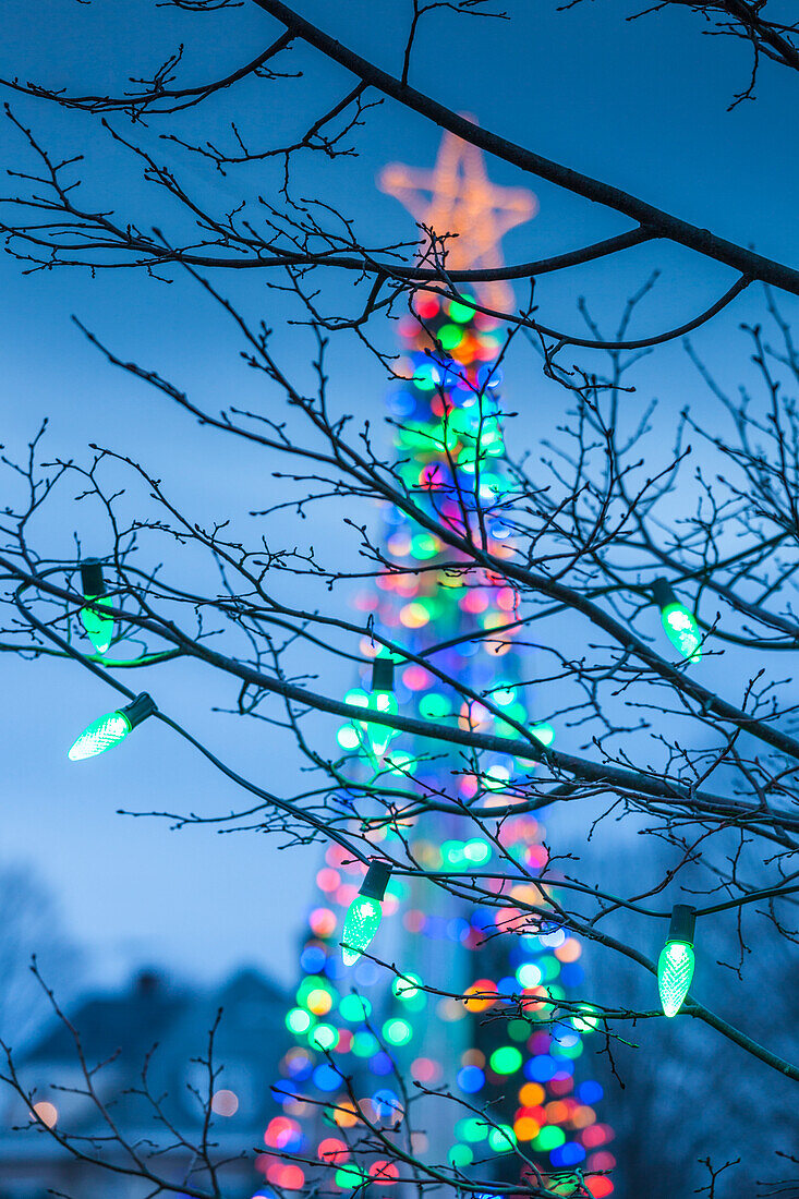 USA, Massachusetts, Rowley. Weihnachtsbaum.