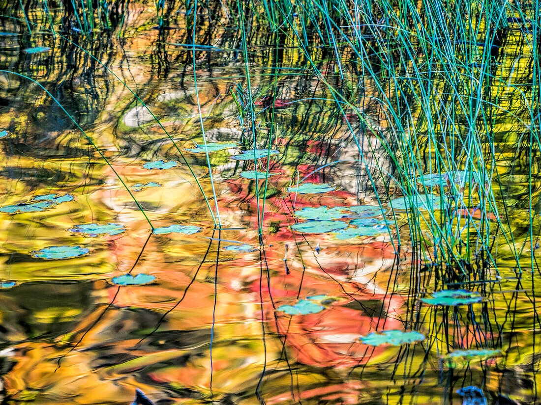 Autumn reflections on Council Lake in Hiawatha National Forest, Michigan