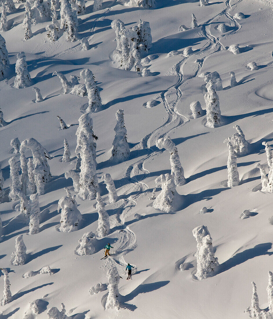 Skifahren durch die Schneegeister an einem sonnigen Tag im Whitefish Mountain Resort in Montana (MR)