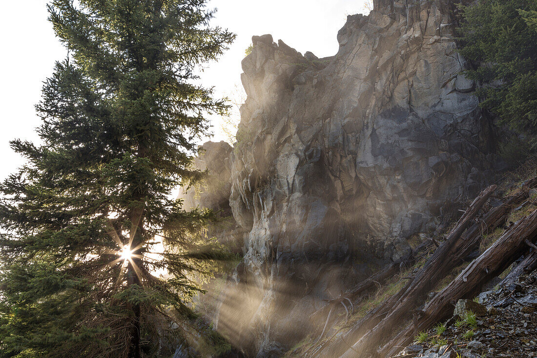 Mist from Holland Falls is backlit by setting sun in the Lolo National Forest, Montana, USA