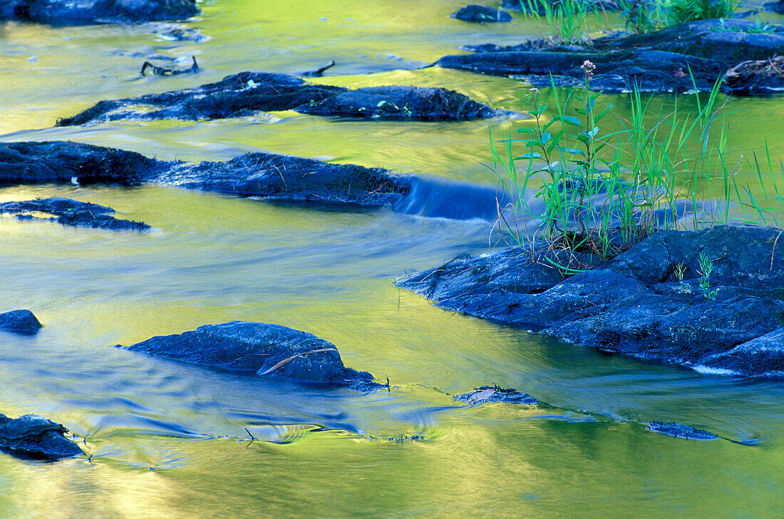 Nordamerika, USA, NH, Sommerreflexionen in den Gewässern des Lamprey River unterhalb der Lee-Hook Road.