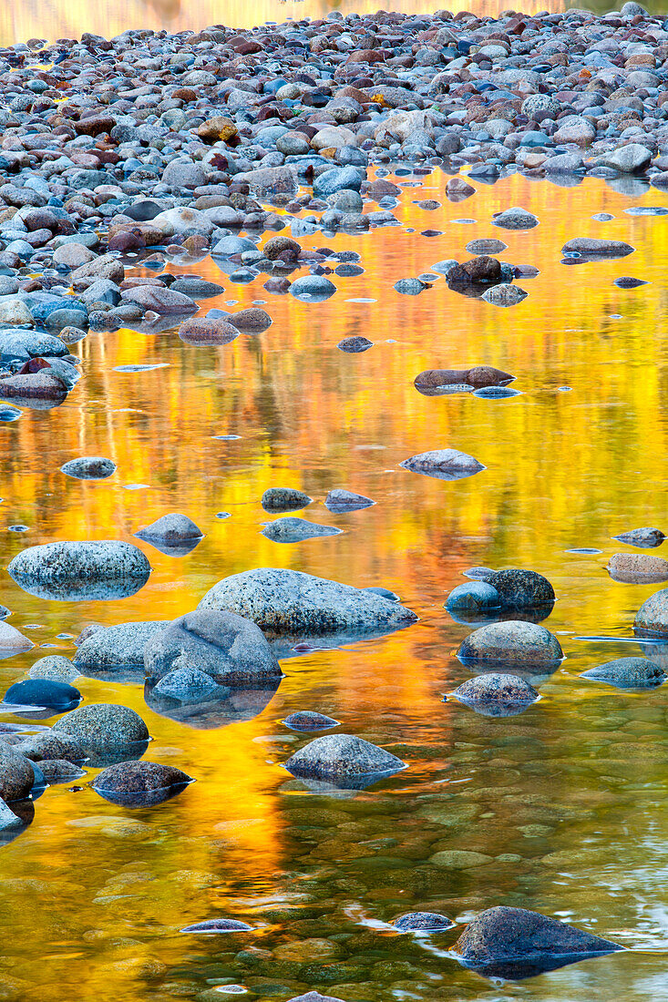 Herbstfarben spiegeln sich im Saco River in Bartlett, New Hampshire. Weiße Berge.