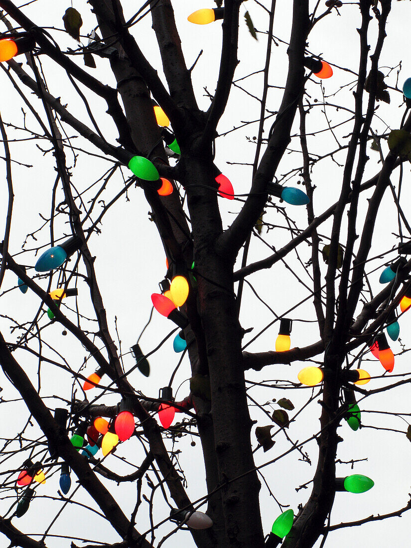 New York City, colorful Christmas lights