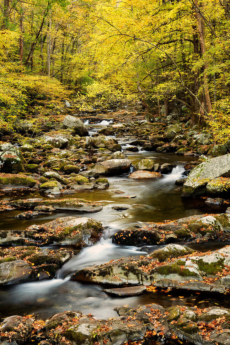 USA, North Carolina, Great-Smoky-Mountains-Nationalpark. Herbst am Big Creek