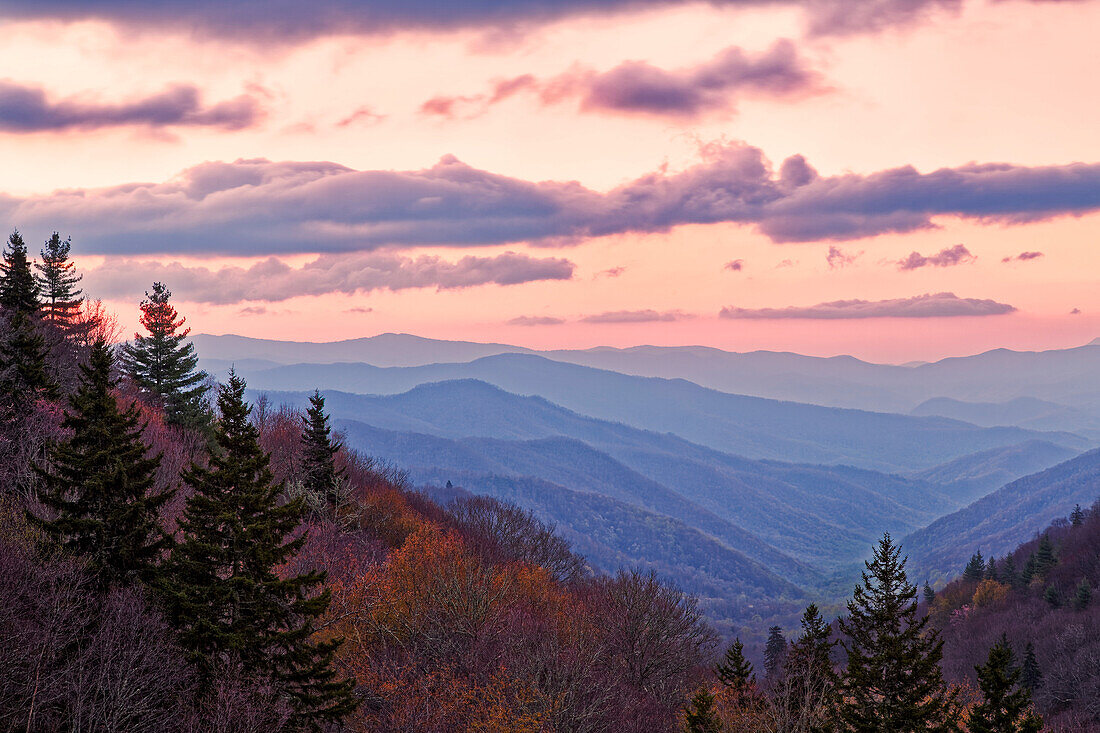 Frühlingssonnenaufgang von Oconaluftee Valley Overlook, US Hwy. 441 oder Newfound Gap Road, Great-Smoky-Mountains-Nationalpark, North Carolina
