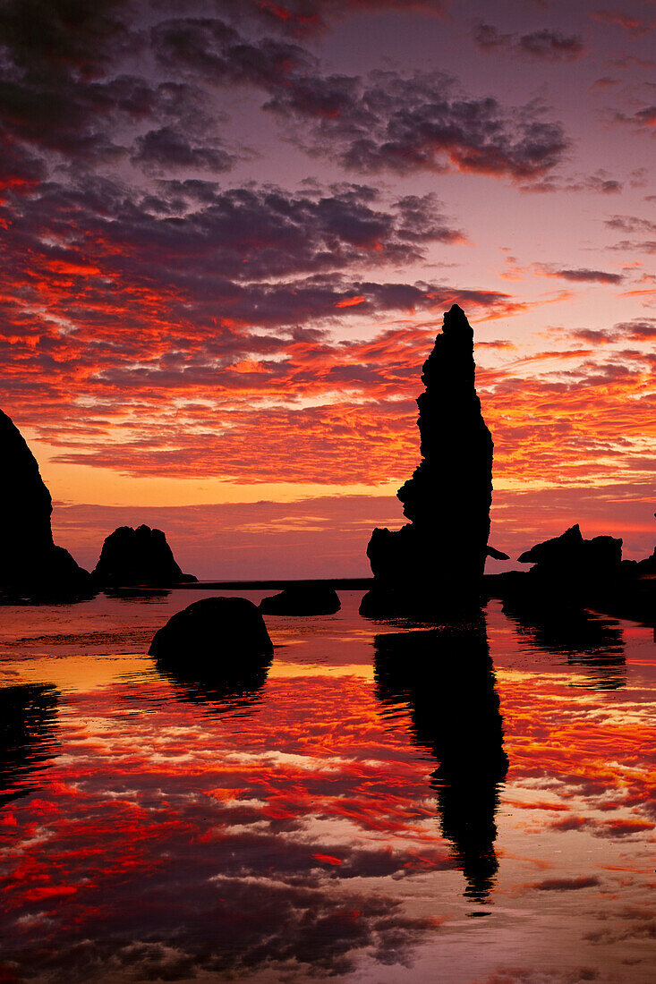 Sea stacks silhouetted at sunset, Bandon Beach, Oregon, USA