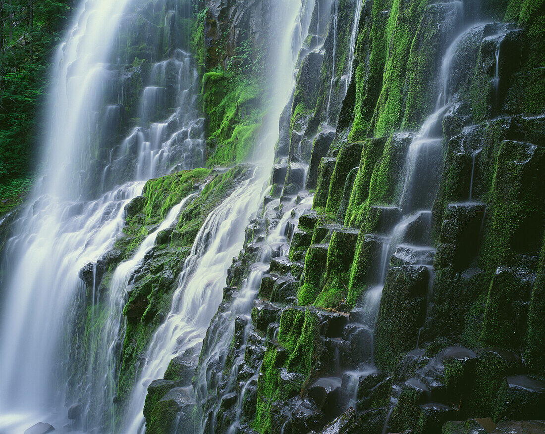 USA, Oregon, Willamette National Forest. Three Sisters Wilderness, Lower Proxy Falls zeigt mehrere Kaskaden, wenn er eine moosige Klippe aus säulenförmigem Basalt hinabsteigt.