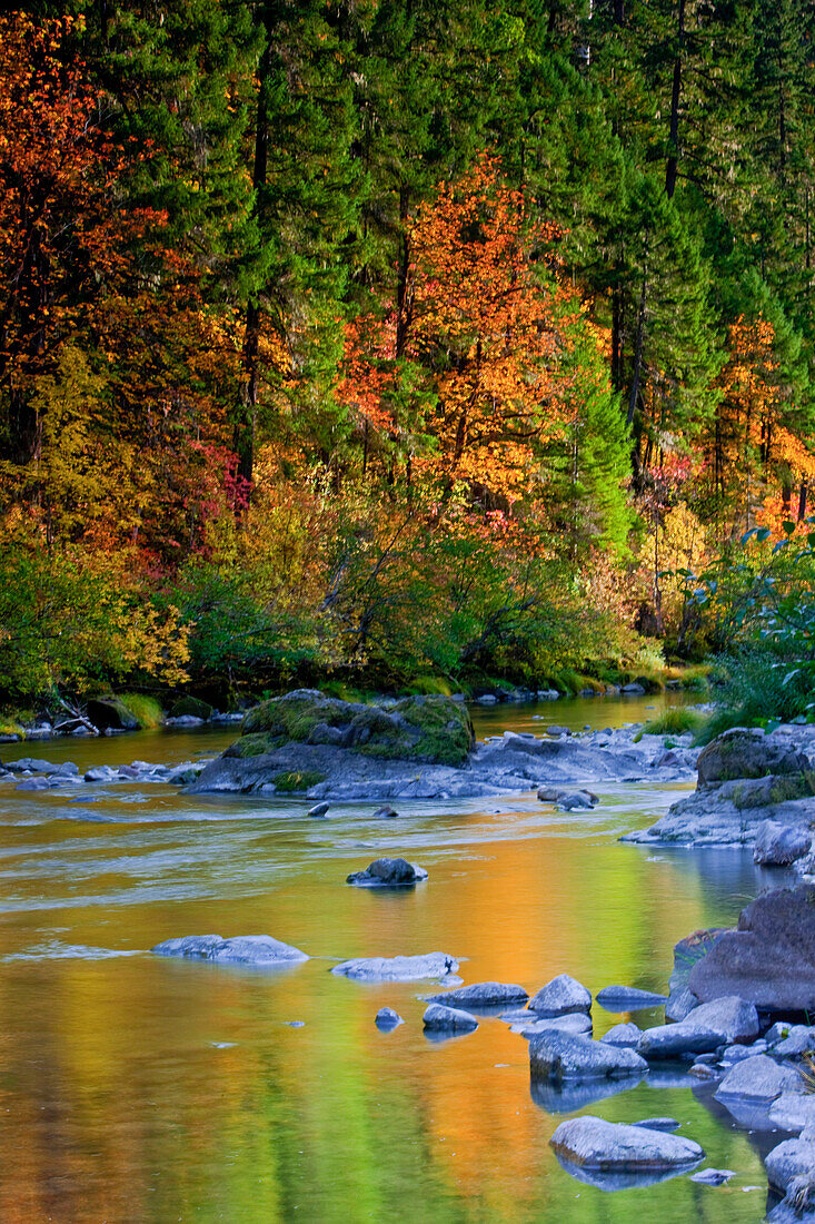 North Umpqua River im Herbst, Umpqua National Forest, Oregon, USA