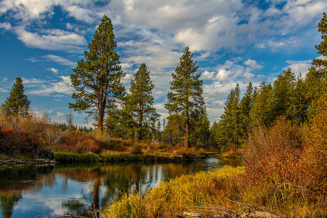 Autumn, Lava Island Falls Trail, Deschutes River, Deschutes National Forest, Oregon, USA