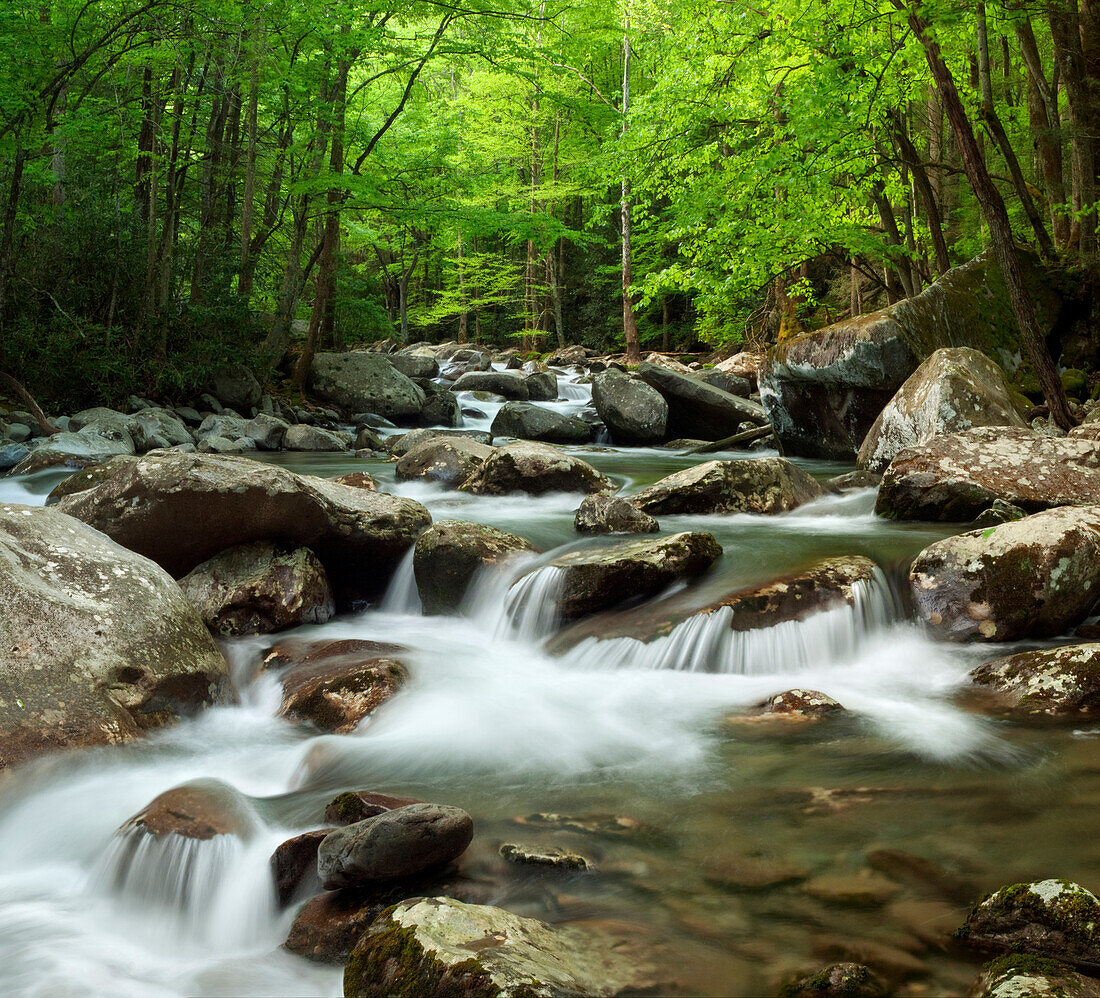 USA, Tennessee, Great Smoky Mountains National Park. Little Pigeon River at Greenbrier