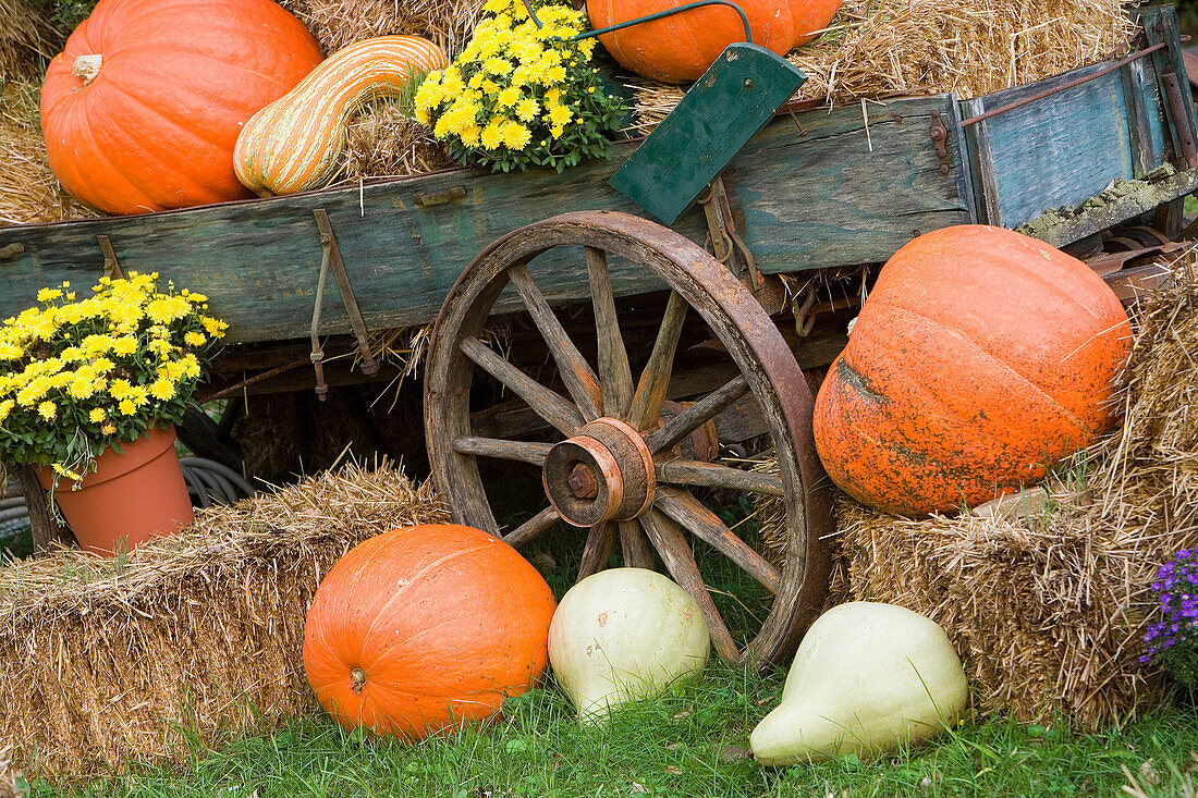 USA, Tennessee, Townsend. Holzwagen und Halloween-Display