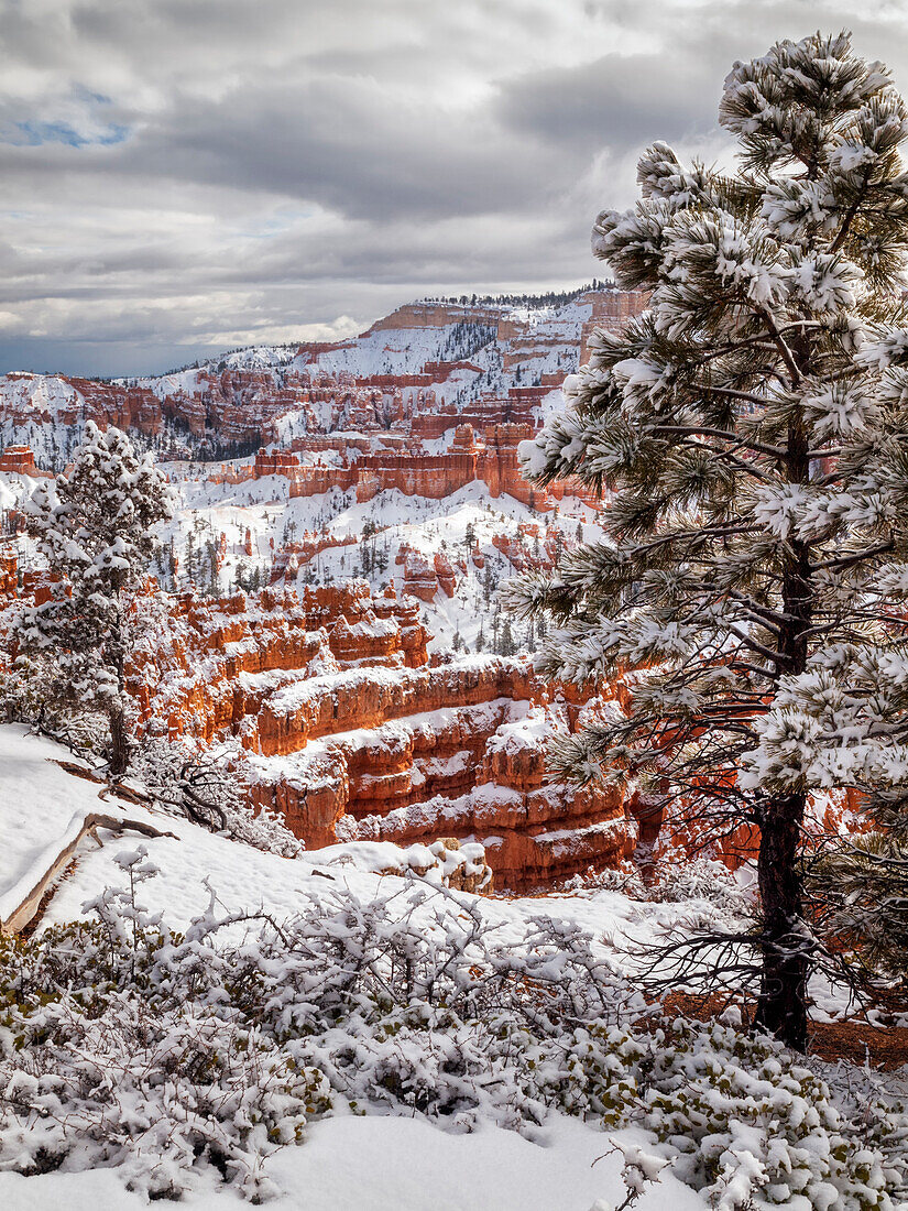 USA, Utah, Bryce Canyon National Park, Sunlight after a fresh snowfall