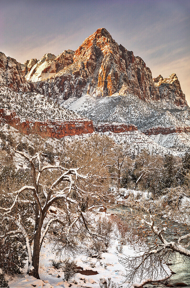 Zion in winter.