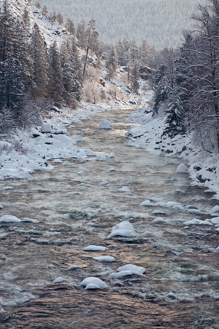 USA, Washington, Leavenworth. Schneebedeckte Bäume säumen den Wenatchee River im Winter