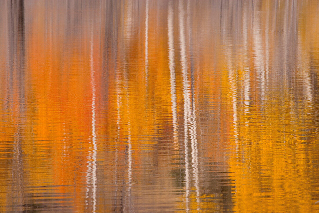 USA, Washington State, Winthrop. Autumn reflections on Beaver Pond
