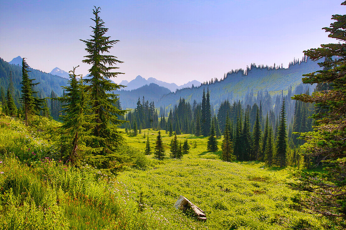 USA, Staat Washington. Berg- und Waldlandschaft