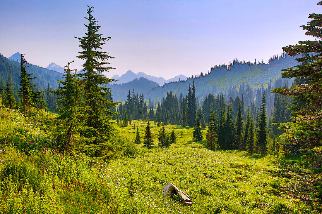 USA, Washington State. Mountain and forest landscape