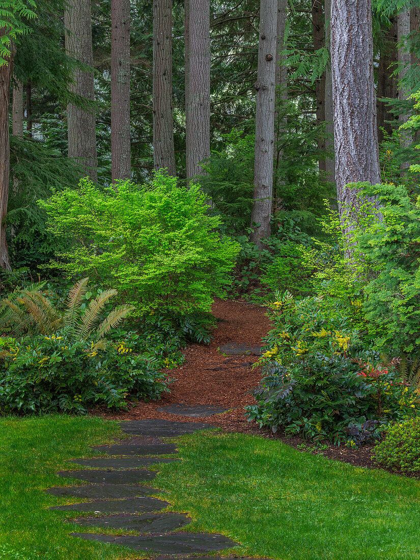 USA, Washington State, Bainbridge Island. Stone path into the forest