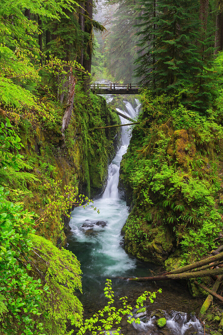 USA, Washington State, Olympic National Park. Sol Duc Falls, spring