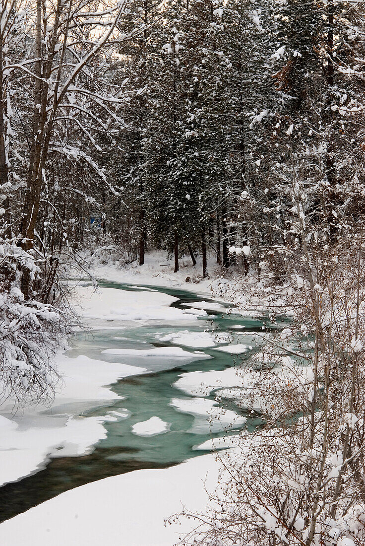 Winterstrom im Wald, Methow Valley, Washington