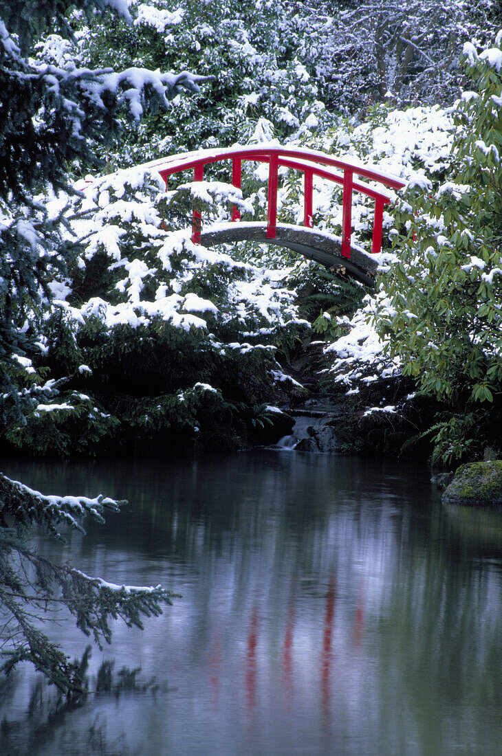 Nordamerika, USA, Washington, Seattle. Mondbrücke in Kabota Gardens im Winter.