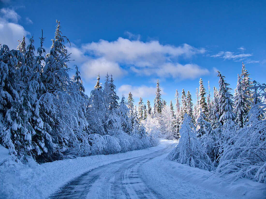 USA, Washington State, Cle Elum, Kittitas County. Colorful winter landscape of rural town.