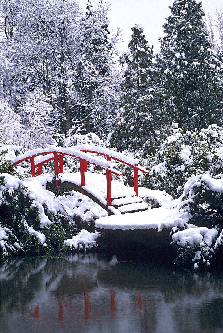 WA, Seattle, Mondbrücke und -teich nach Winterschneesturm; Kubota-Garten