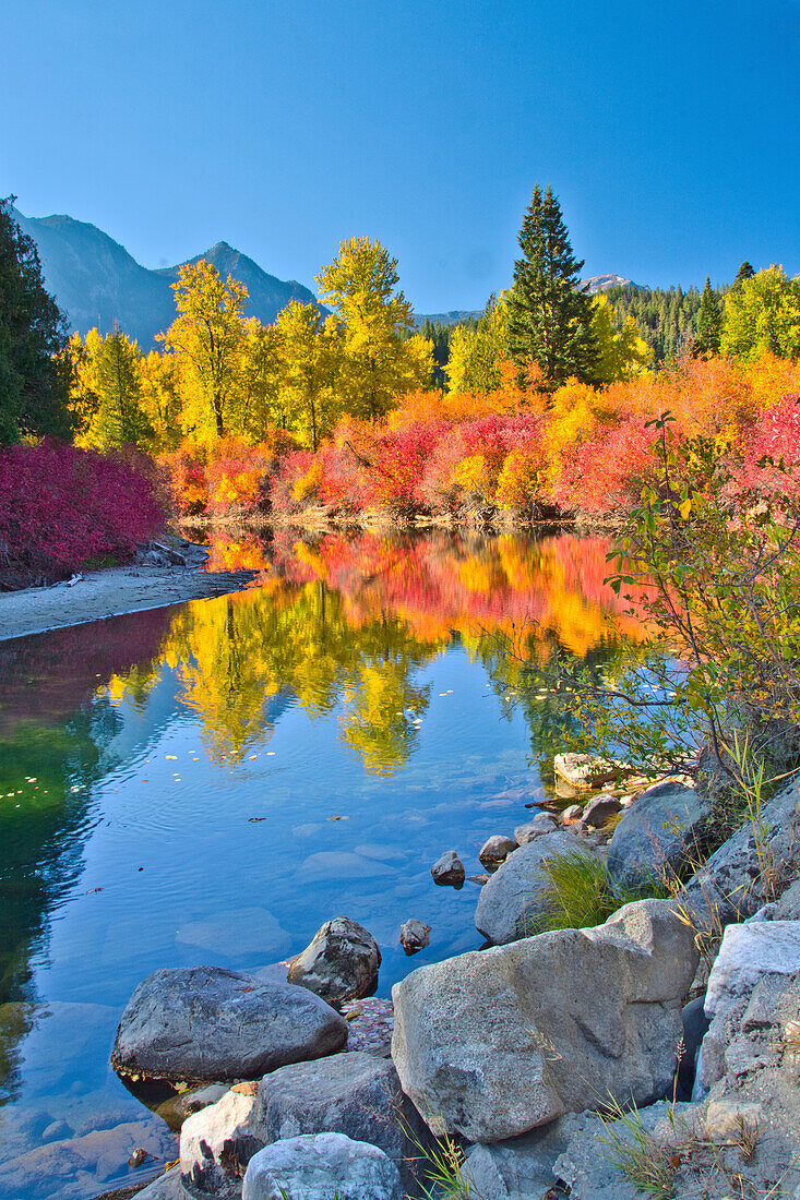 Herbstfärbung, White River, Wenatchee National Forest, Washington State, USA