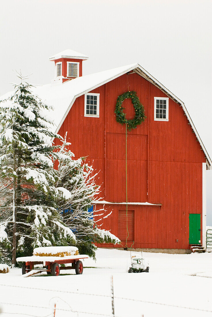 Nordamerika, USA, WA, Whidbey Island. Festliche rote Scheune im Neuschnee