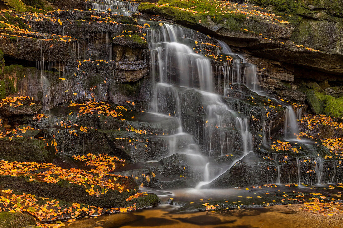 USA, West Virginia, Blackwater Falls State Park. Waterfall scenic