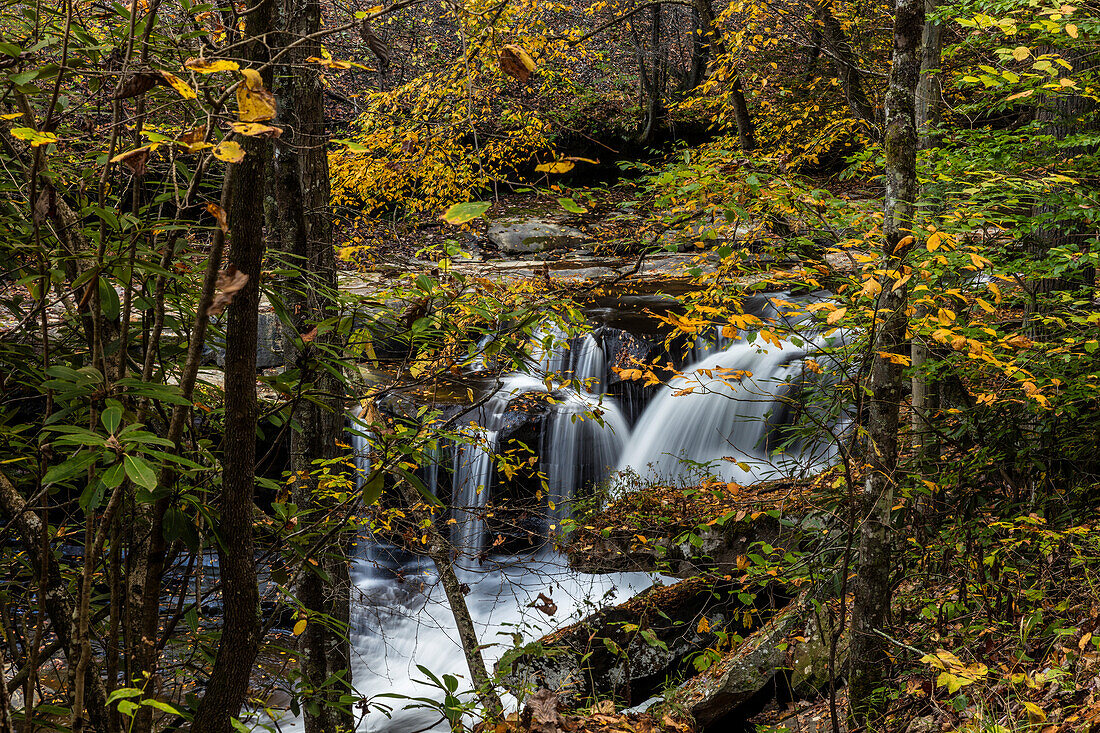 Dunloup Creek Falls im Fayette County, West Virginia, USA