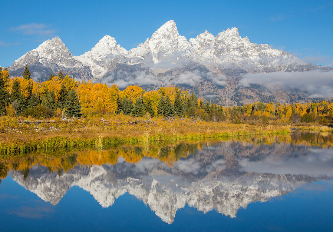USA, Wyoming, Grand Teton National Park. Fresh snowfall covers the Grand Teton Mountains on an autumn morning, reflected in the waters by Schwabacher Landing.