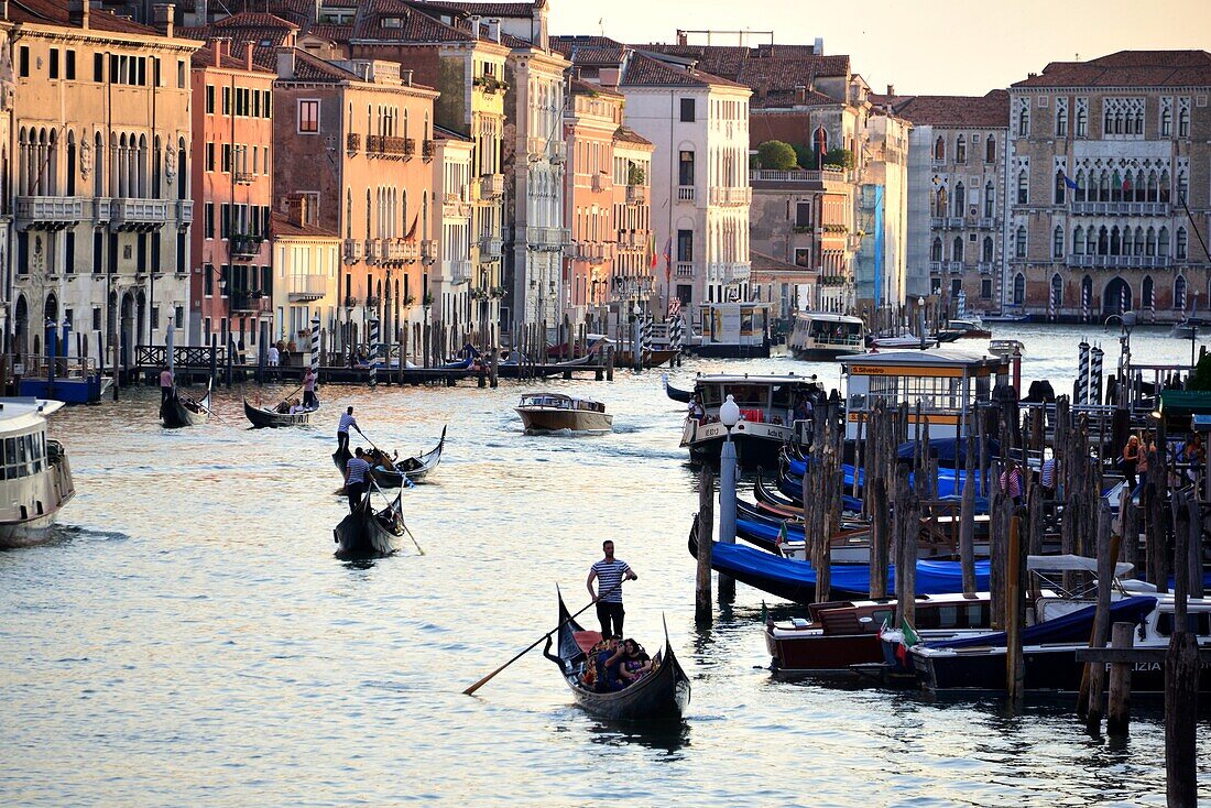 Gondoliere an der Rialtobrücke, Canale Grande, Venedig, Italien
