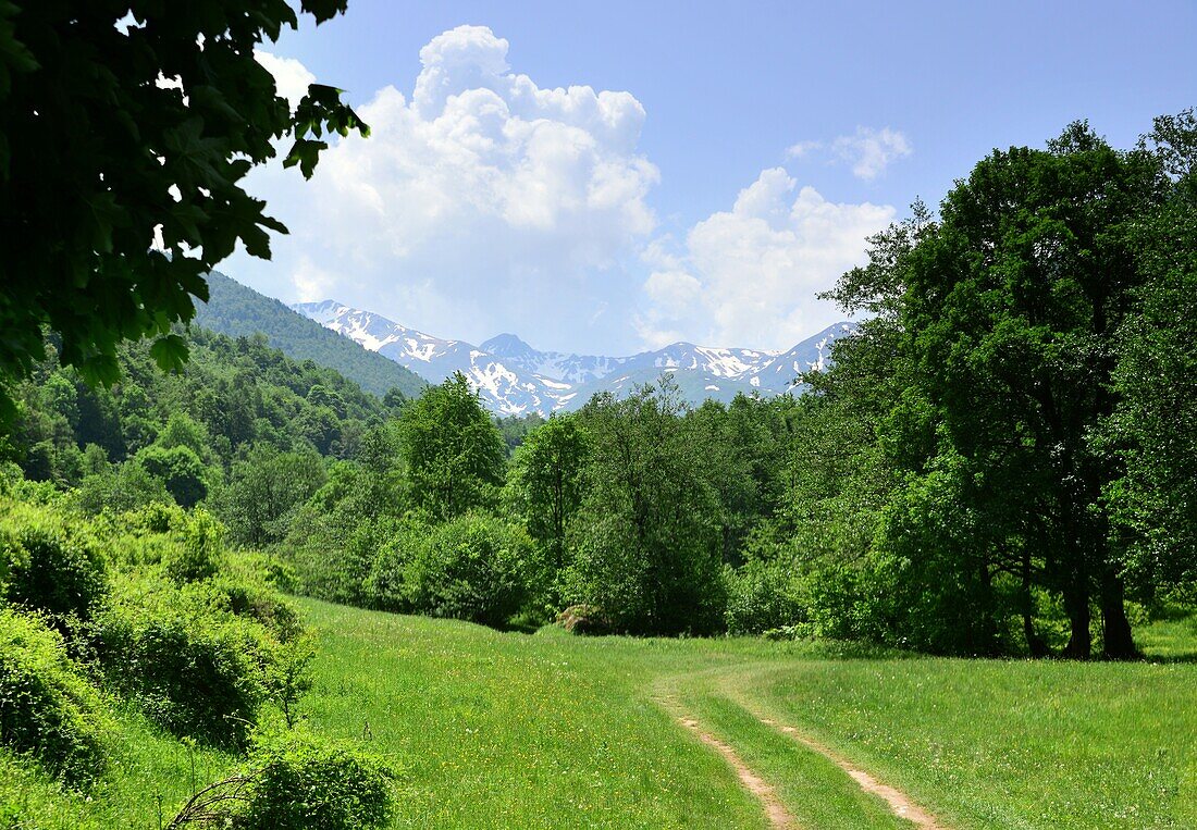 Landschaft an der Strasse 115 am Sar Planina Nationalpark, Süd-Kosovo