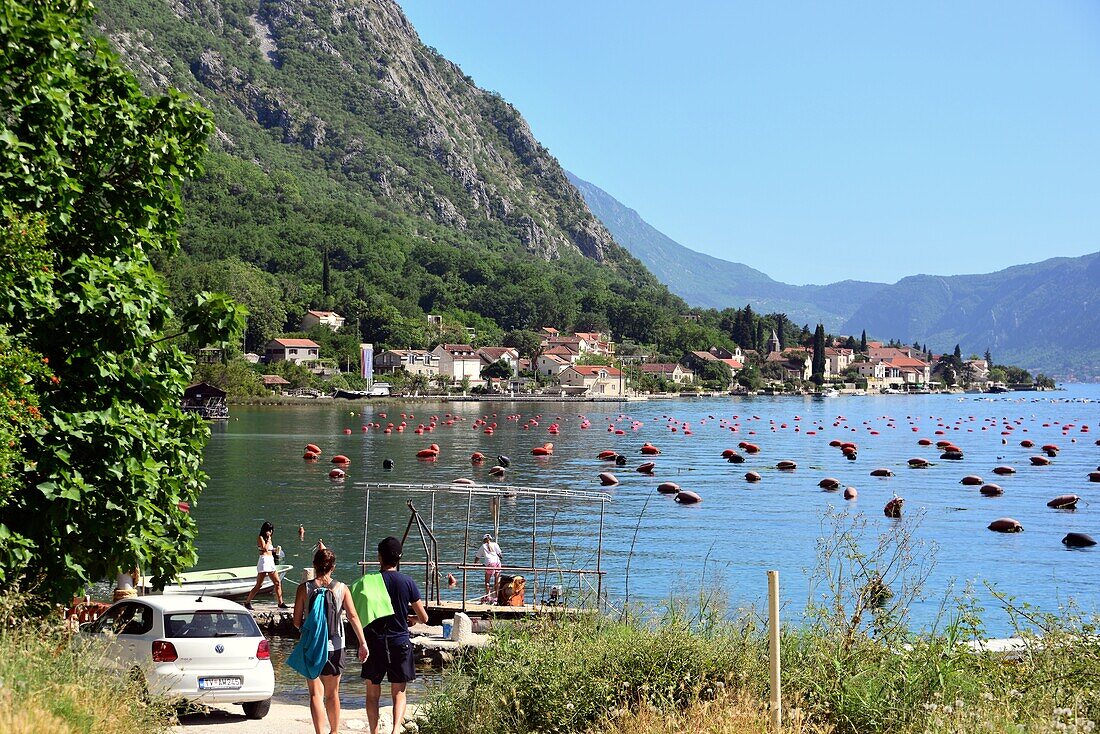 Bei Ljuta, innere Bucht von Kotor, Montenegro