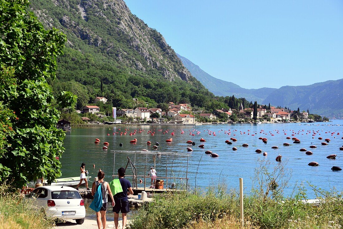 at Ljuta, inner Bay of Kotor, Montenegro