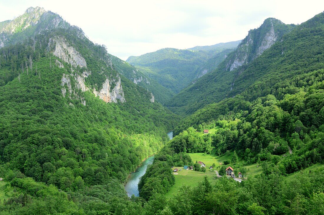 Blick von der Brücke, Tara Schlucht, Montenegro