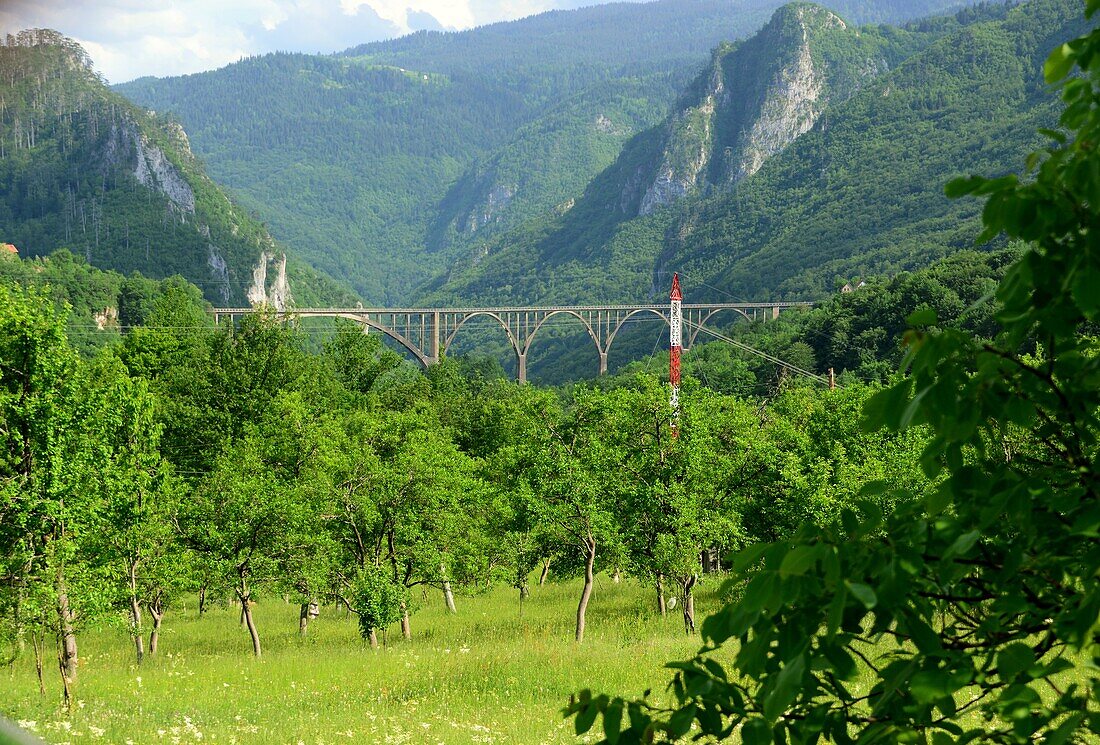 Die Brücke über die Tara Schlucht, Montenegro